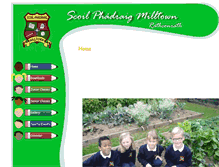 Tablet Screenshot of milltownns.ie